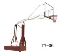 ʩ֮TY-06